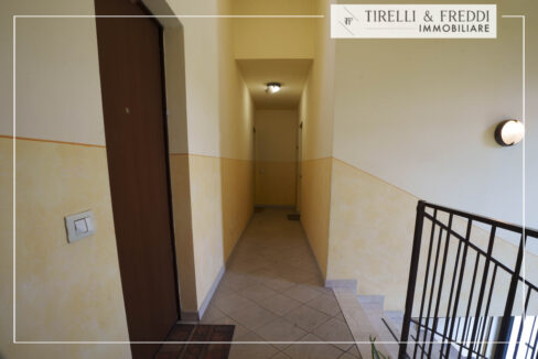 FREDDI E TIRELLI-13