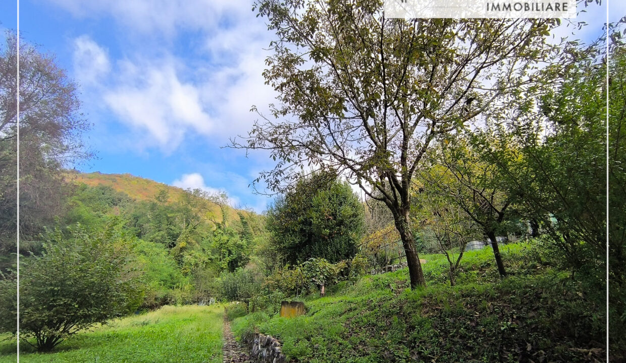 GG-24092024-170559-4