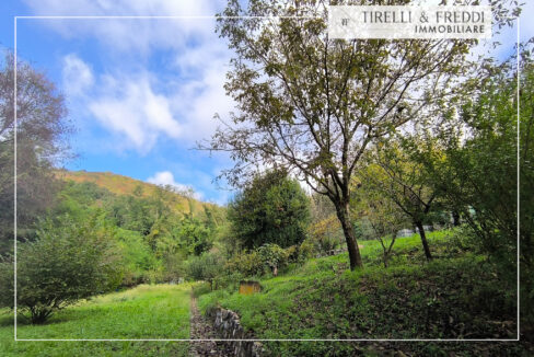 GG-24092024-170559-4